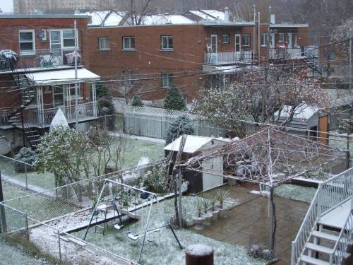 Erster Schnee in Montrealer Grten. Foto: Paul Morf Gronert