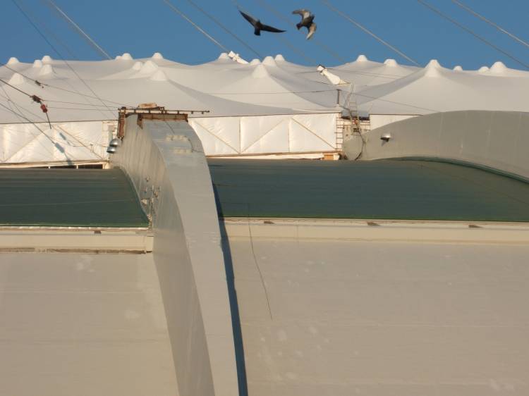 Detail des Daches mit Mwen. Foto: Paul Morf Gronert